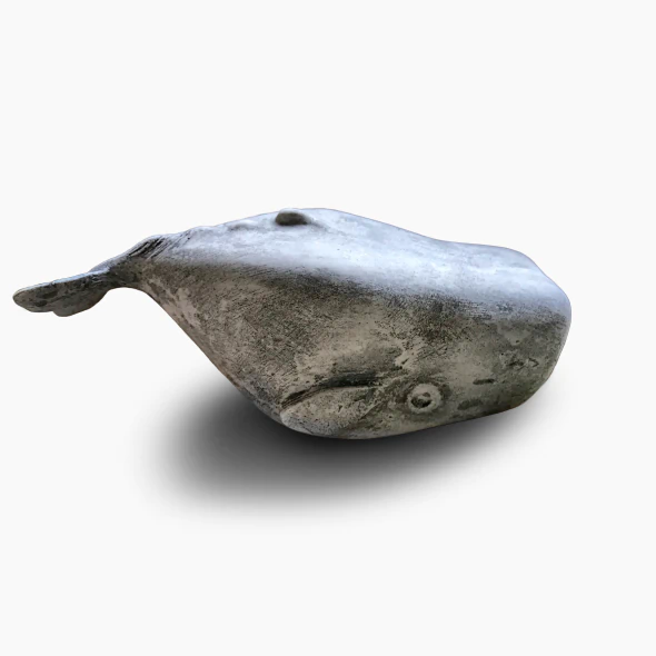 grey_whale